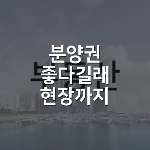 분양권 좋다길래 현장까지 가봤더니 숫자가 먼저 말해준 이야기 - 요약