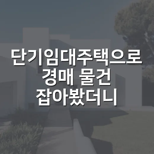 단기임대주택으로 경매 물건 잡아봤더니, 수익보다 먼저 보인 위험들 - 요약
