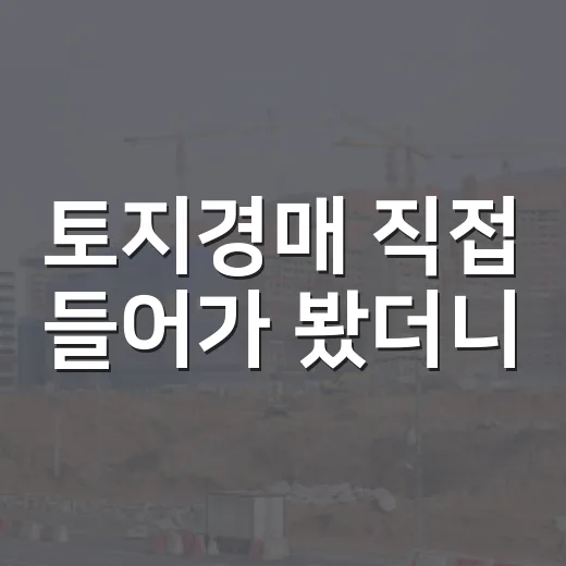 토지경매 직접 들어가 봤더니, 건물보다 더 무서웠던 이유 - 요약