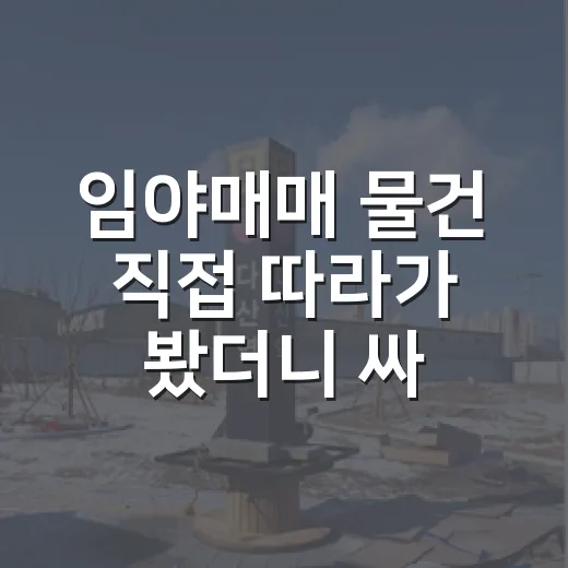 임야매매 물건 직접 따라가 봤더니 싸다고 덥석 물면 생기는 일 - 요약