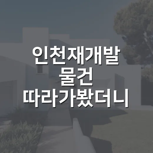 인천재개발 물건 따라가봤더니, 싸 보이는 집일수록 먼저 봐야 할 것들 - 요약