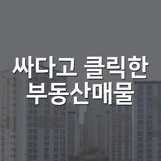 싸다고 클릭한 부동산매물, 현장에서 직접 확인해봤더니 보인 것들 - 요약