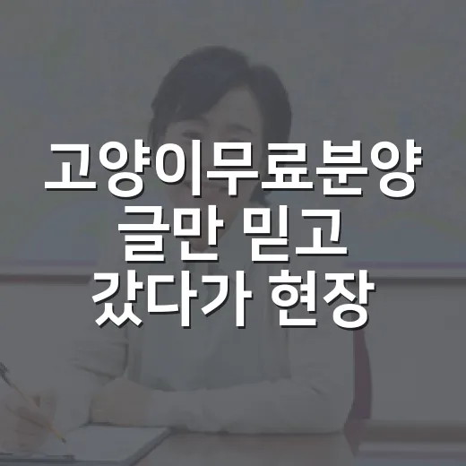 고양이무료분양 글만 믿고 갔다가 현장에서 확인한 진짜 비용 이야기 - 요약