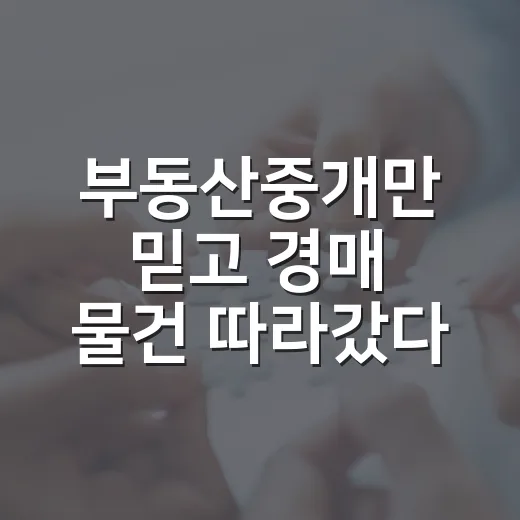 부동산중개만 믿고 경매 물건 따라갔다가 현장에서 배운 진짜 이야기 - 요약