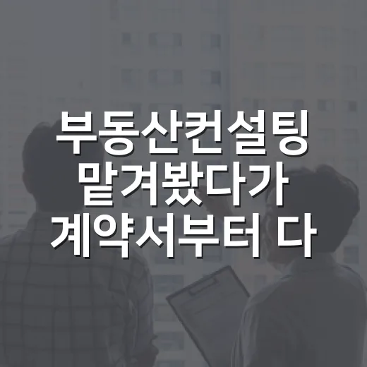 부동산컨설팅 맡겨봤다가 계약서부터 다시 본 이야기 - 요약