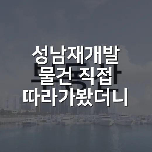 성남재개발 물건 직접 따라가봤더니 숫자보다 먼저 봐야 할 게 있더라 - 요약