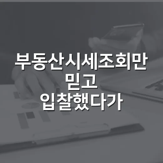 부동산시세조회만 믿고 입찰했다가 2천만 원 날릴 뻔한 이야기 - 요약