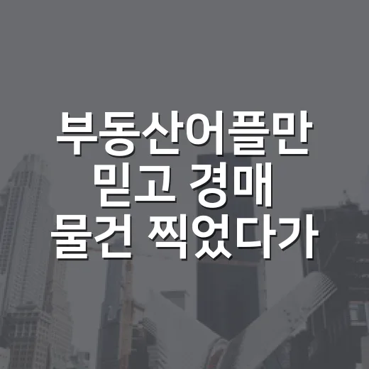 부동산어플만 믿고 경매 물건 찍었다가 현장에서 바로 식은 이야기 - 요약