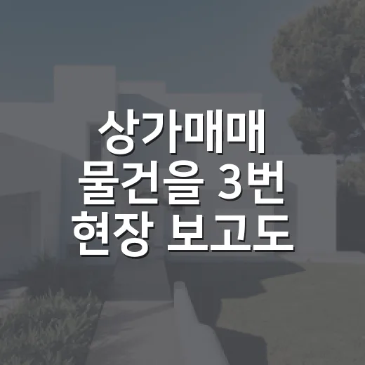 상가매매 물건을 3번 현장 보고도 바로 계약 안 한 이유 - 요약