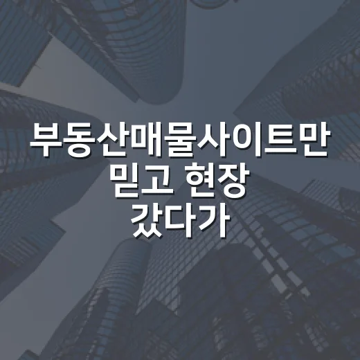 부동산매물사이트만 믿고 현장 갔다가 300만 원 날릴 뻔한 이야기 - 요약