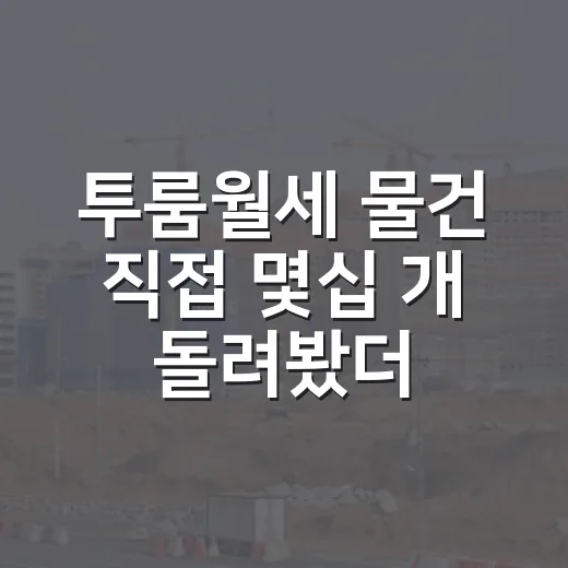 투룸월세 물건 직접 몇십 개 돌려봤더니, 숫자보다 먼저 보이는 것들 - 요약