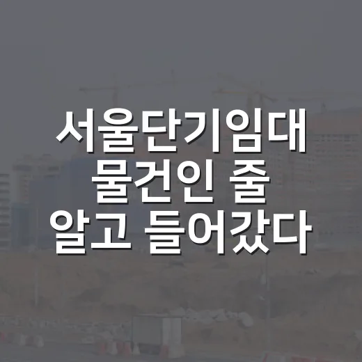 서울단기임대 물건인 줄 알고 들어갔다가 현장에서 계산기 다시 두드린 이야기 - 요약