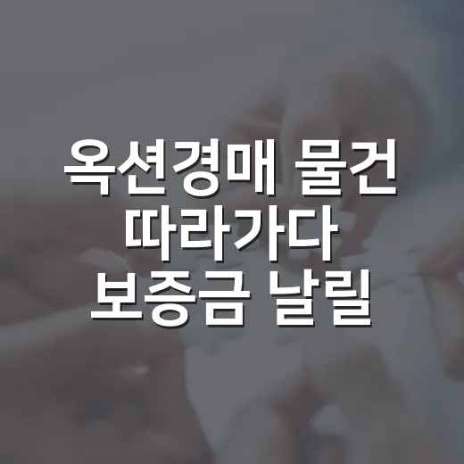 옥션경매 물건 따라가다 보증금 날릴 뻔한 날의 진짜 이야기 - 요약