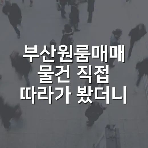 부산원룸매매 물건 직접 따라가 봤더니 숫자보다 먼저 보인 것들 - 요약