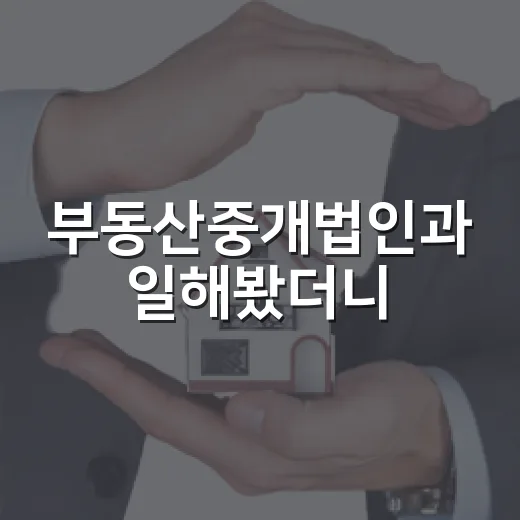부동산중개법인과 일해봤더니, 경매 투자자가 먼저 본 건 간판이 아니었습니다 - 요약