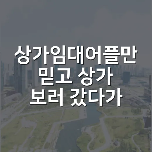 상가임대어플만 믿고 상가 보러 갔다가 현장에서 다시 배운 것 - 요약