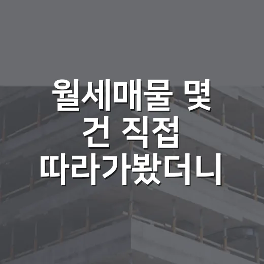월세매물 몇 건 직접 따라가봤더니, 숫자보다 먼저 봐야 할 게 있었습니다 - 요약