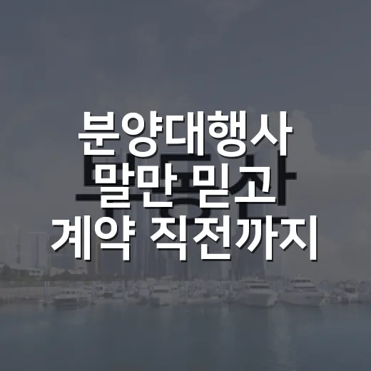 분양대행사 말만 믿고 계약 직전까지 갔다가 발길 돌린 이야기 - 요약