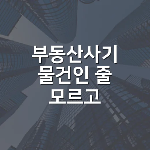 부동산사기 물건인 줄 모르고 입찰장까지 갔다가 발 빼본 이야기 - 요약