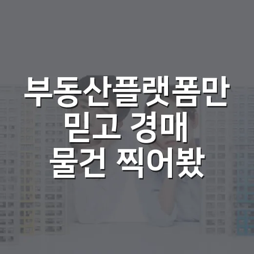 부동산플랫폼만 믿고 경매 물건 찍어봤더니 현장에서 보인 것들 - 요약