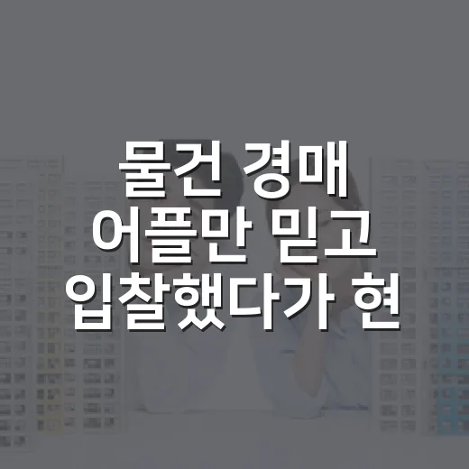 물건 경매 어플만 믿고 입찰했다가 현장에서 식은땀 난 이야기 - 요약