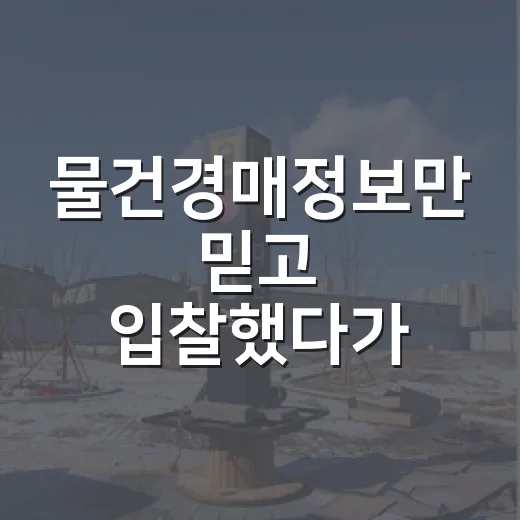 물건경매정보만 믿고 입찰했다가 현장에서 식은땀 흘린 이야기 - 요약