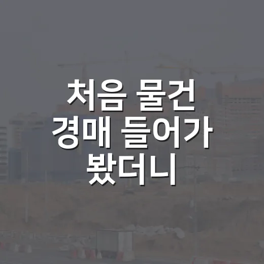 처음 물건 경매 들어가 봤더니, 돈보다 먼저 봐야 할 게 있더라 - 요약