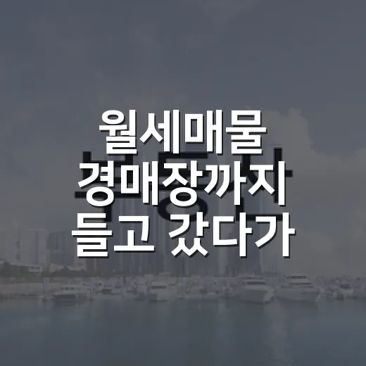 월세매물 경매장까지 들고 갔다가 입찰표를 접은 이유 - 요약