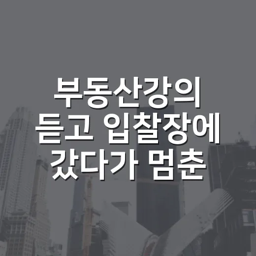 부동산강의 듣고 입찰장에 갔다가 멈춘 이유 - 요약