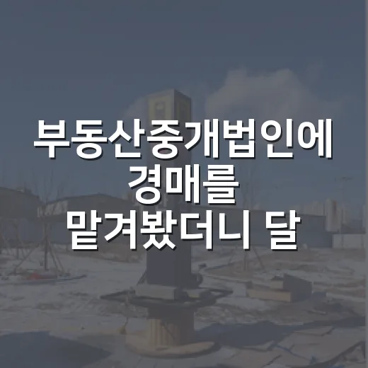 부동산중개법인에 경매를 맡겨봤더니 달랐던 것 - 요약