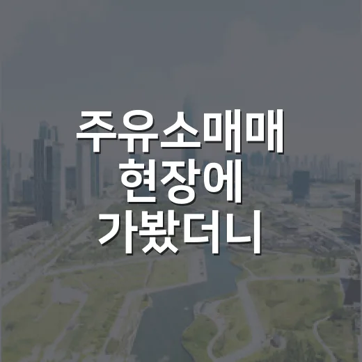 주유소매매 현장에 가봤더니 땅보다 탱크가 걸렸다 - 요약