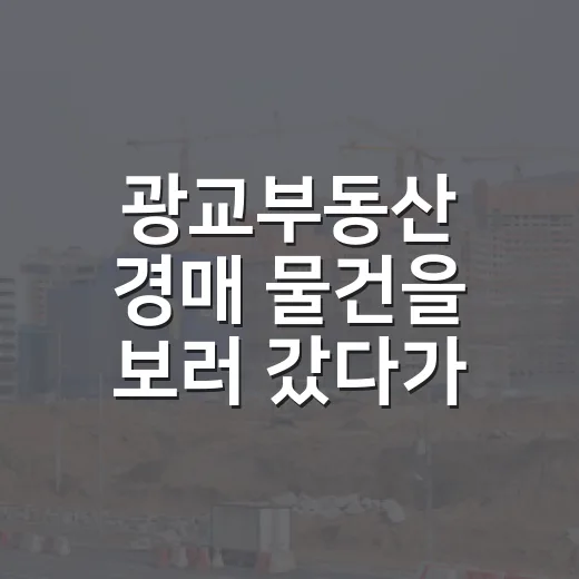 광교부동산 경매 물건을 보러 갔다가 발길을 돌린 이유 - 요약