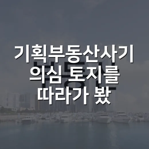 기획부동산사기 의심 토지를 따라가 봤더니 - 요약