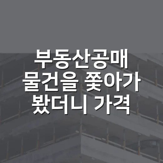 부동산공매 물건을 쫓아가 봤더니 가격보다 사람이 먼저 보였다 - 요약