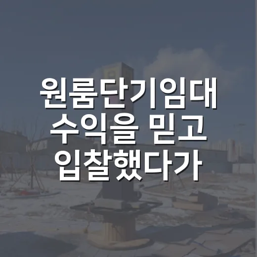 원룸단기임대 수익을 믿고 입찰했다가 다시 계산한 날 - 요약