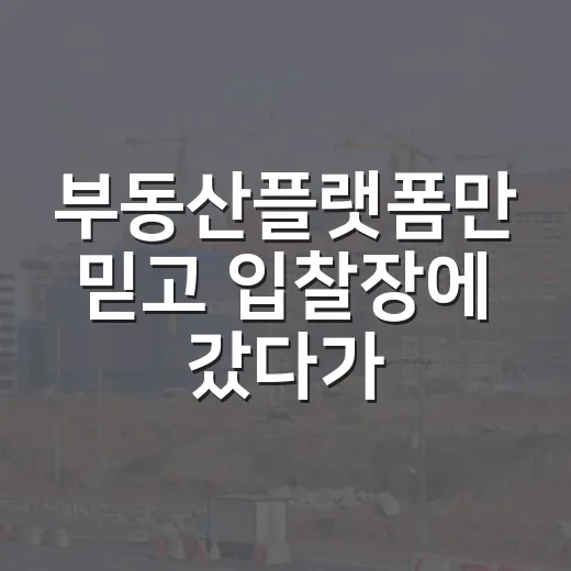 부동산플랫폼만 믿고 입찰장에 갔다가 발길을 돌린 이유 - 요약