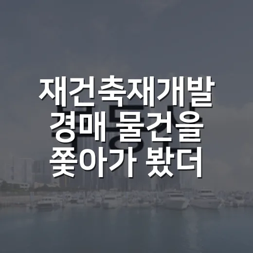 재건축재개발 경매 물건을 쫓아가 봤더니 - 요약