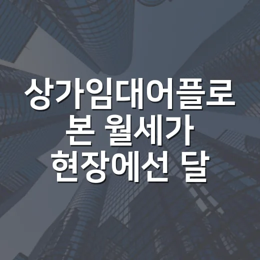 상가임대어플로 본 월세가 현장에선 달랐다 - 요약