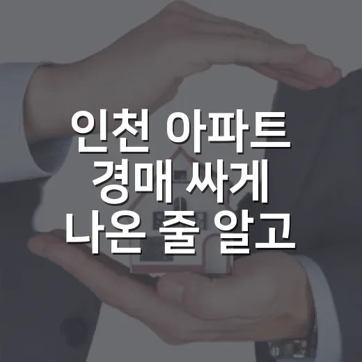 인천 아파트 경매 싸게 나온 줄 알고 현장에 갔더니 - 요약