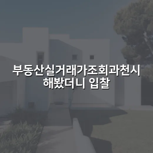 부동산실거래가조회과천시 해봤더니 입찰가가 달라졌다 - 요약