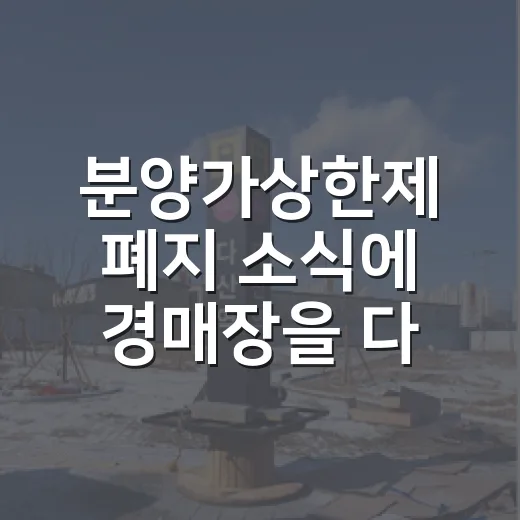 분양가상한제 폐지 소식에 경매장을 다시 봤더니 - 요약