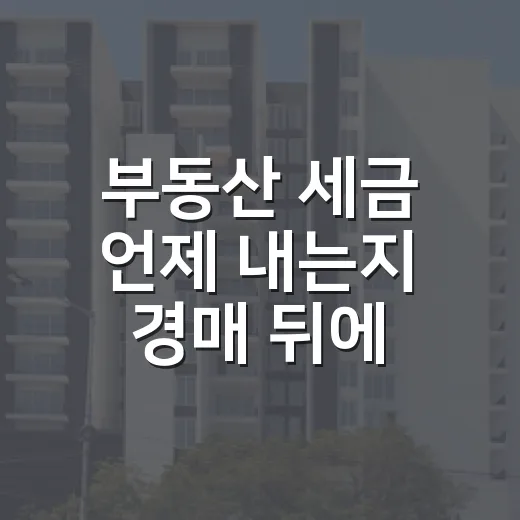 부동산 세금 언제 내는지 경매 뒤에 알았다 - 요약