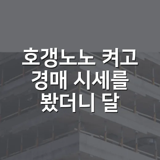 호갱노노 켜고 경매 시세를 봤더니 달라진 입찰가 - 요약