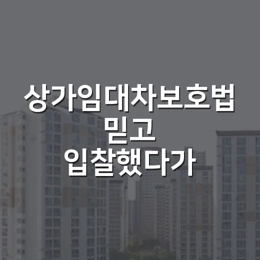 상가임대차보호법 믿고 입찰했다가 멈춘 날 - 요약