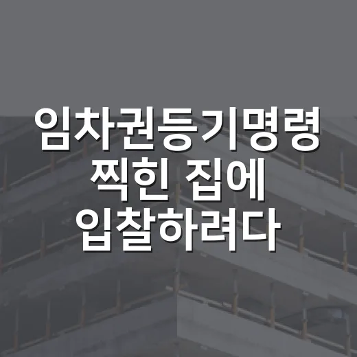 임차권등기명령 찍힌 집에 입찰하려다 멈춘 이유 - 요약