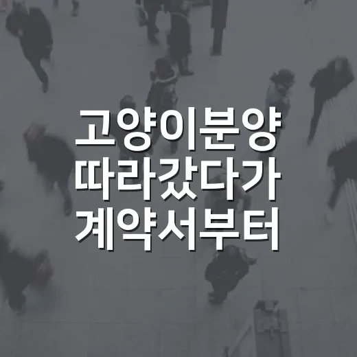고양이분양 따라갔다가 계약서부터 펼친 이유 - 요약