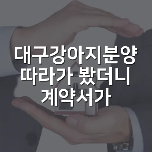 대구강아지분양 따라가 봤더니 계약서가 먼저 보였다 - 요약