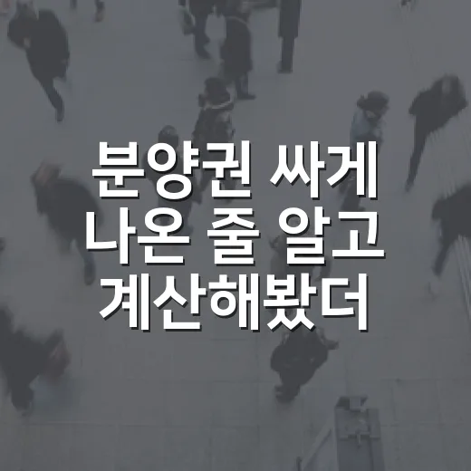 분양권 싸게 나온 줄 알고 계산해봤더니 - 요약