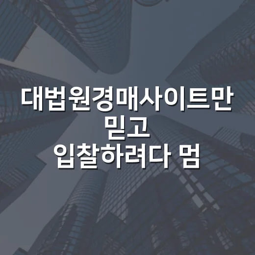 대법원경매사이트만 믿고 입찰하려다 멈춘 이유 - 요약