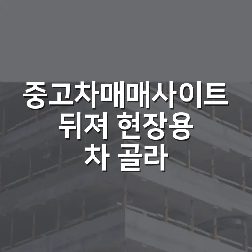 중고차매매사이트 뒤져 현장용 차 골라봤더니 - 요약